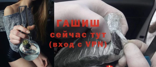 гашик Верея