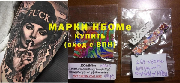 гашик Верея