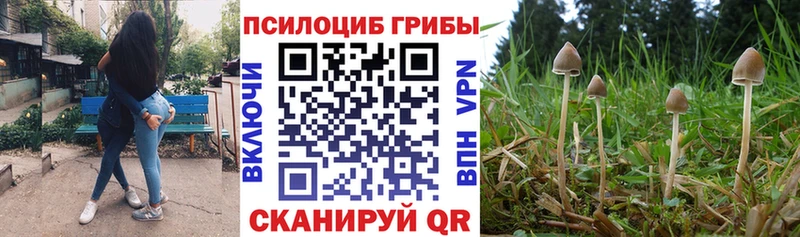 omg сайт  где можно купить   Архангельск  Галлюциногенные грибы Cubensis 